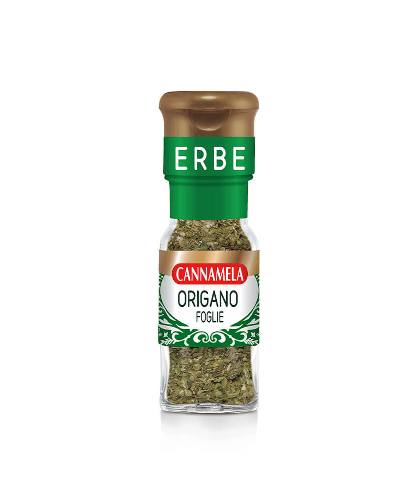 Origano foglie